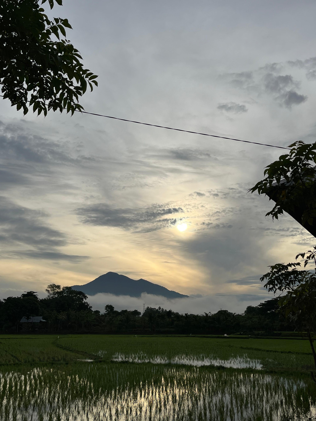 Area Persawahan Gampong Lamkuk